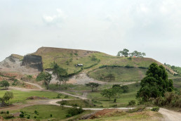 Overview