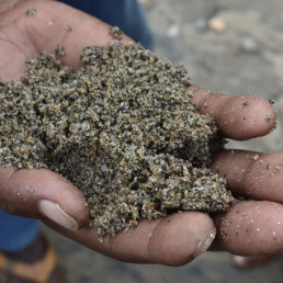 Artisanal Small-Scale Mining