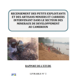 Census of artisanal and small-scale miners in Cameroon