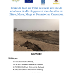 Baseline study on Development Minerals in Far North and West Cameroon