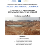 Low-carbon materials