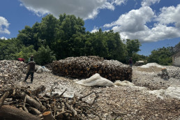 An area in Tanga was where miners were using large quantities of wood charcoal to burn limestone