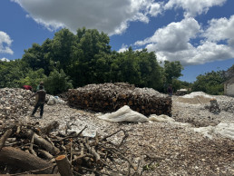 An area in Tanga was where miners were using large quantities of wood charcoal to burn limestone