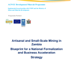 Blueprint for a National Formalization and Business Acceleration Strategy
