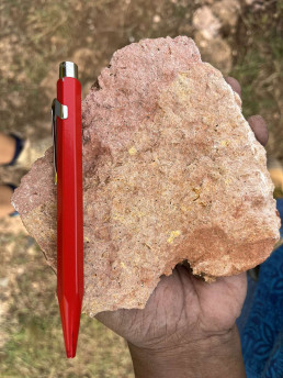 Calcareous limestone sample at Volivoli, Sigatoka