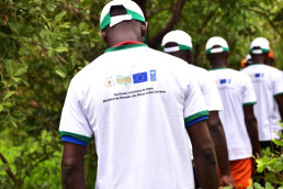 Reforestation by laterite mining cooperatives