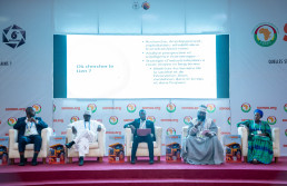 Discussants at the Development Minerals panel during SAMAO 2024