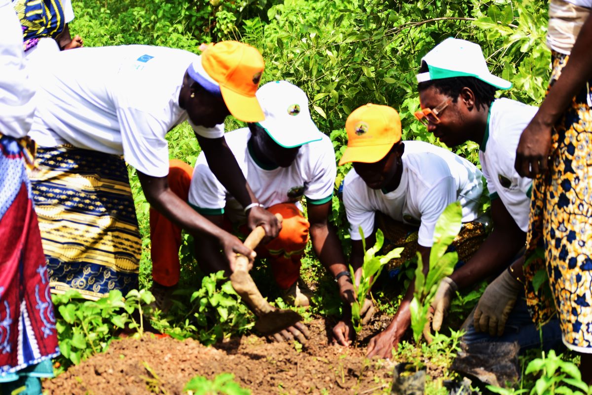Artisanal and small-scale mining