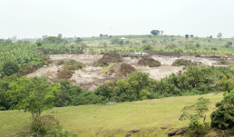 UNDP enabled training of the miners in land restoration.