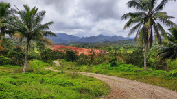 View over the clay exposures at Naboro.
