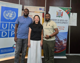 Participants from one of the working groups, captured after completing their collaborative work on the draft handbook.