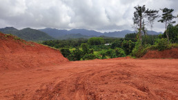 Exposed Clay material at Flame Tree Quarry at Colo-i-Suva