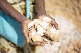 An artisanal and small-scale miner displaying mined silica on the outskirts of Kitwe, Zambia.