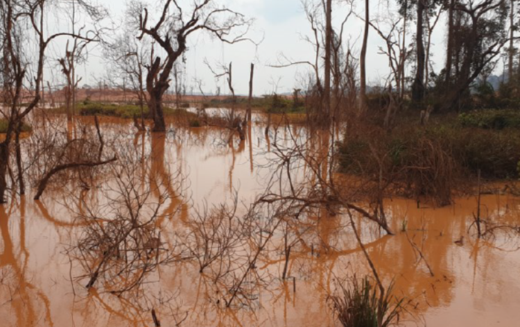 Flooding and vegetation loss linked to gold mining activities in Batouri, where more than 8,000 hectares of forest and land have been affected over the last three decades.