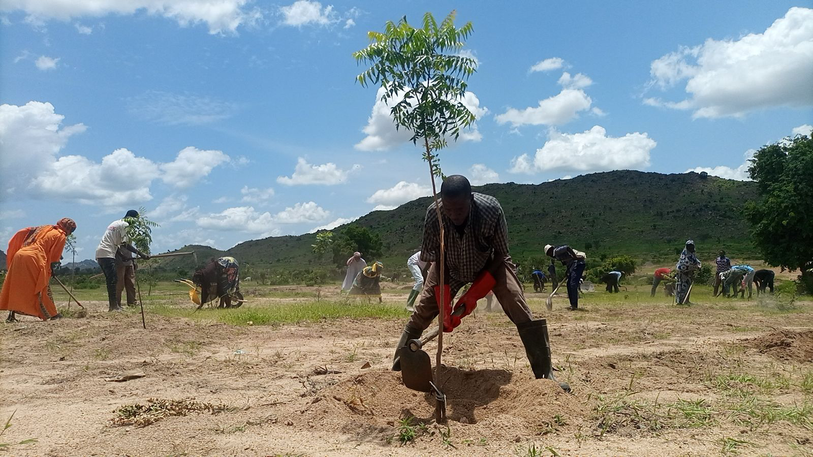 Community members plant trees as part of efforts to restore land degraded by artisanal mining. The approach involves local communities and miners directly in the restoration process.