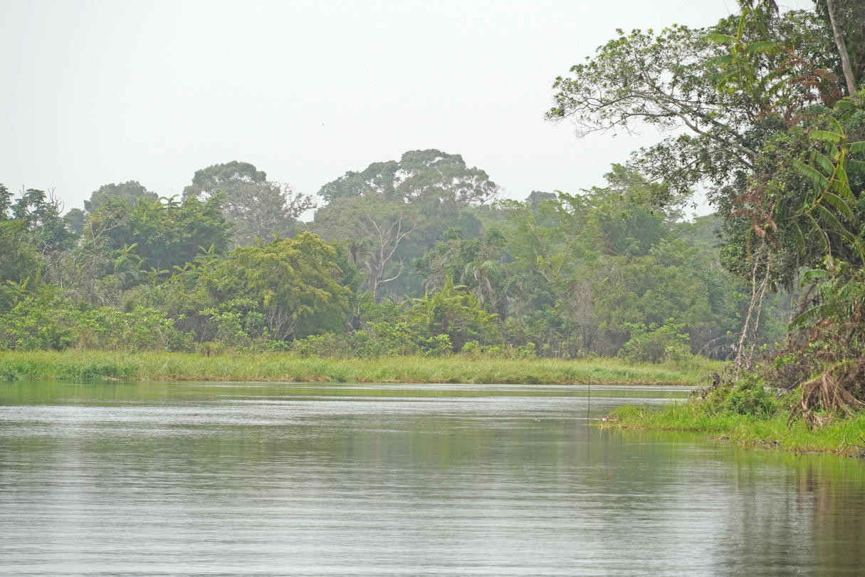 Un cours d’eau bordé d’une végétation dense en République du Congo, dont les écosystèmes sont confrontés aux effets de la dégradation environnementale et du changement climatique.