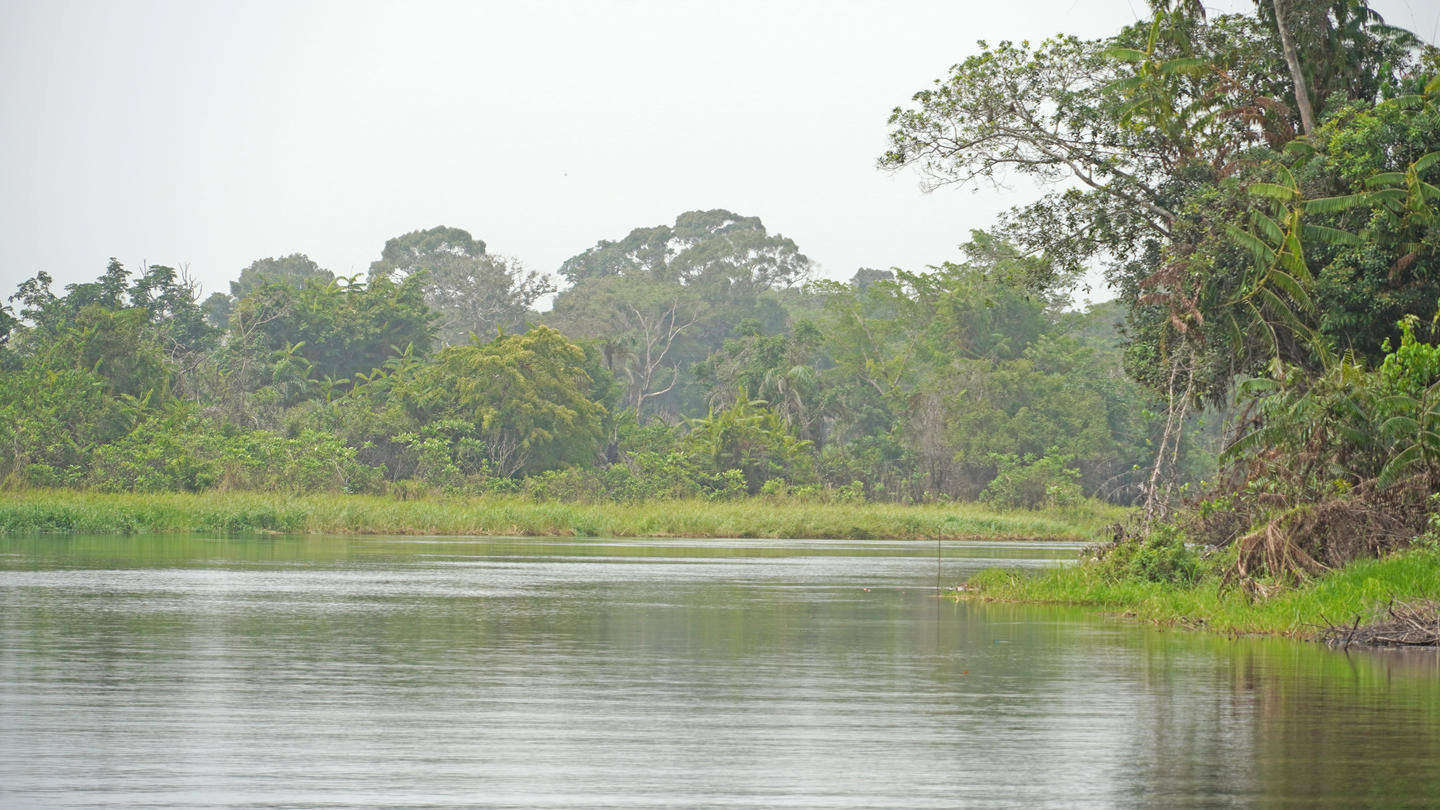 Un cours d’eau bordé d’une végétation dense en République du Congo, dont les écosystèmes sont confrontés aux effets de la dégradation environnementale et du changement climatique.